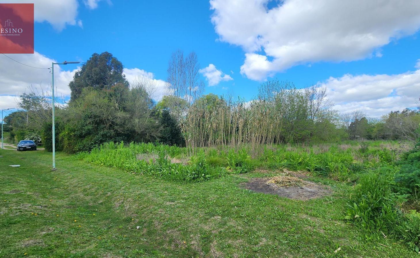 Foto de Lote en 406 y 9 bis, Villa Elisa. sup. 2774 m², imagen 4