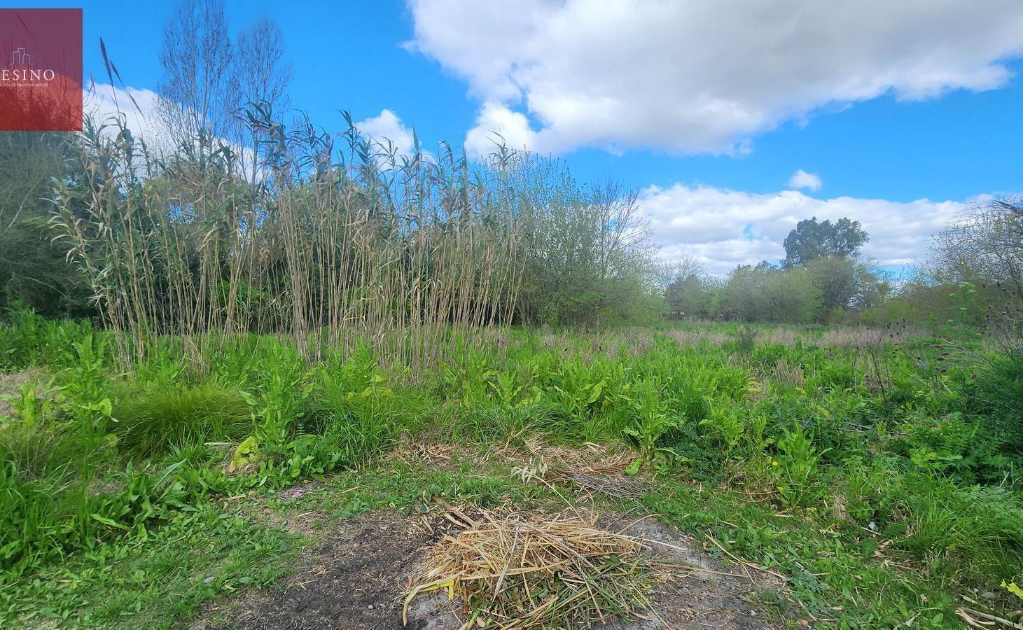Foto de Lote en 406 y 9 bis, Villa Elisa. sup. 2774 m², imagen 2