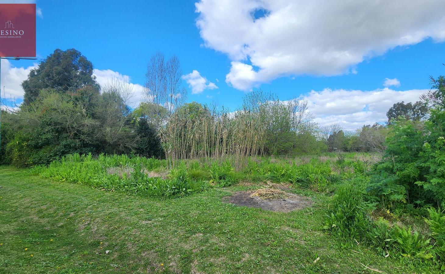 Foto de Lote en 406 y 9 bis, Villa Elisa. sup. 2774 m², imagen 5
