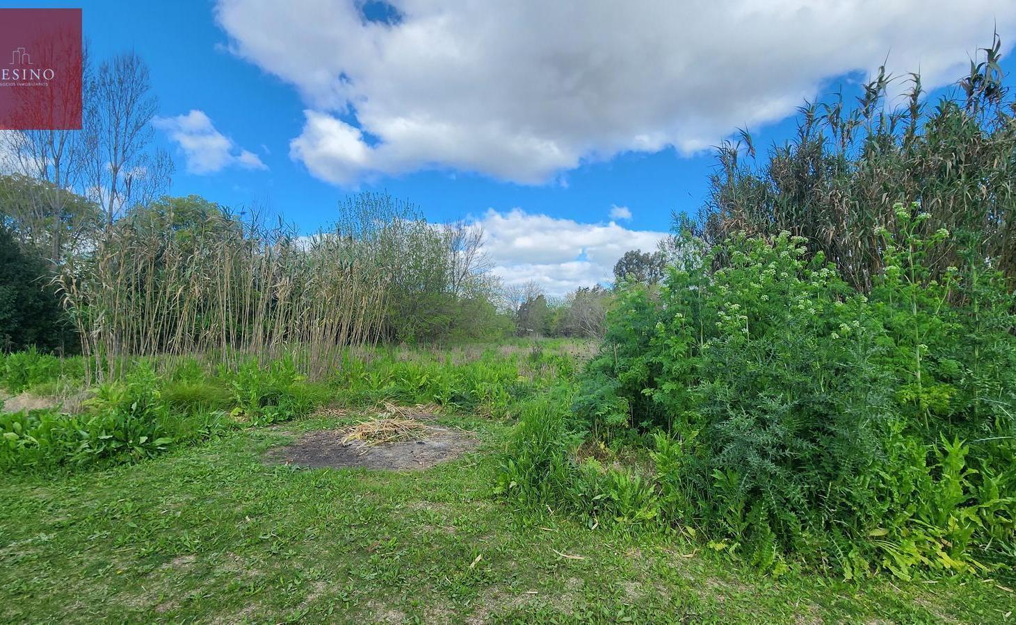 Foto de Lote en 406 y 9 bis, Villa Elisa. sup. 2774 m², imagen 3