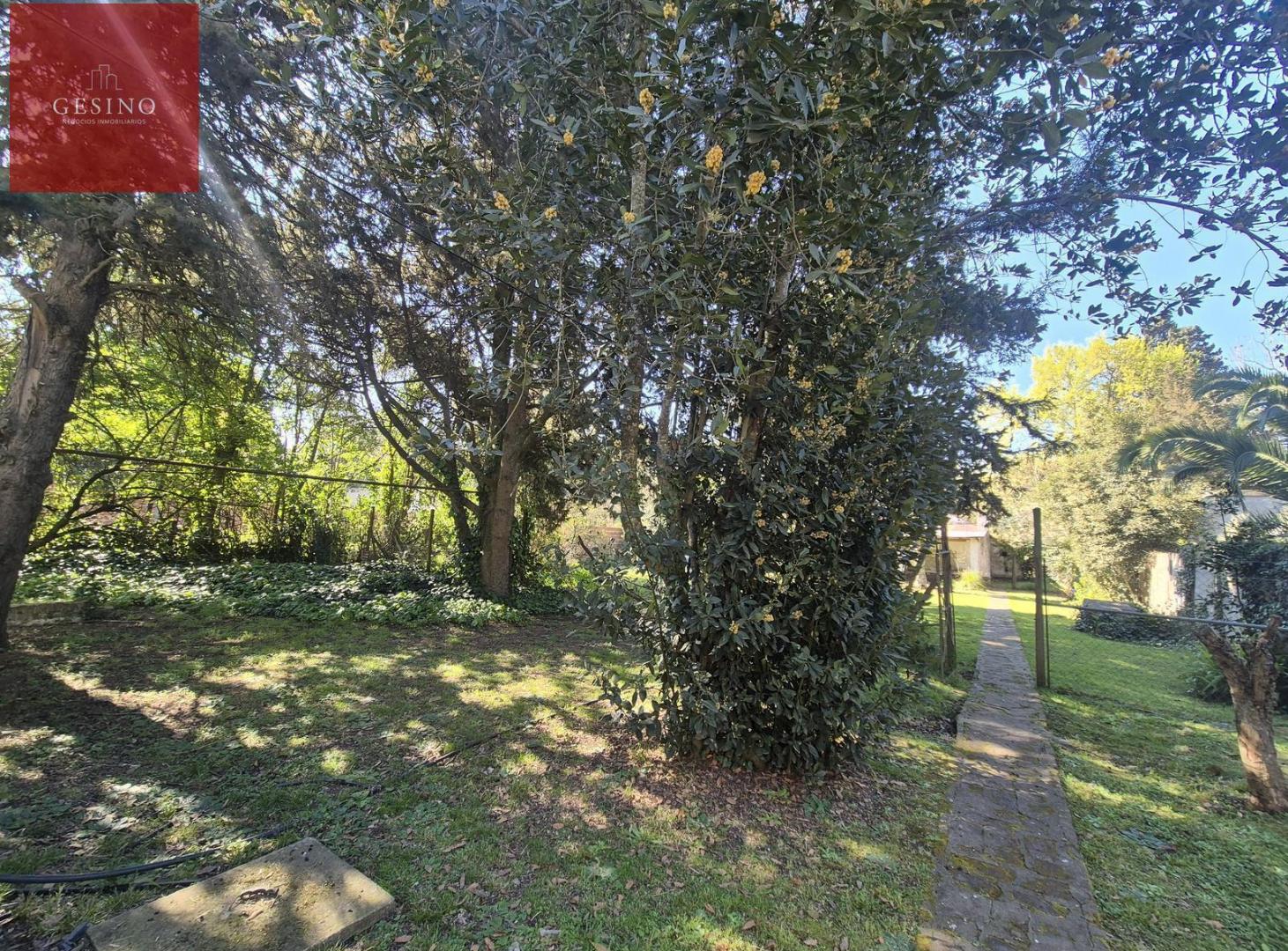 Foto de Terreno en Venta en zona tranquila de Arturo Seguí, a metros de Arana, imagen 3