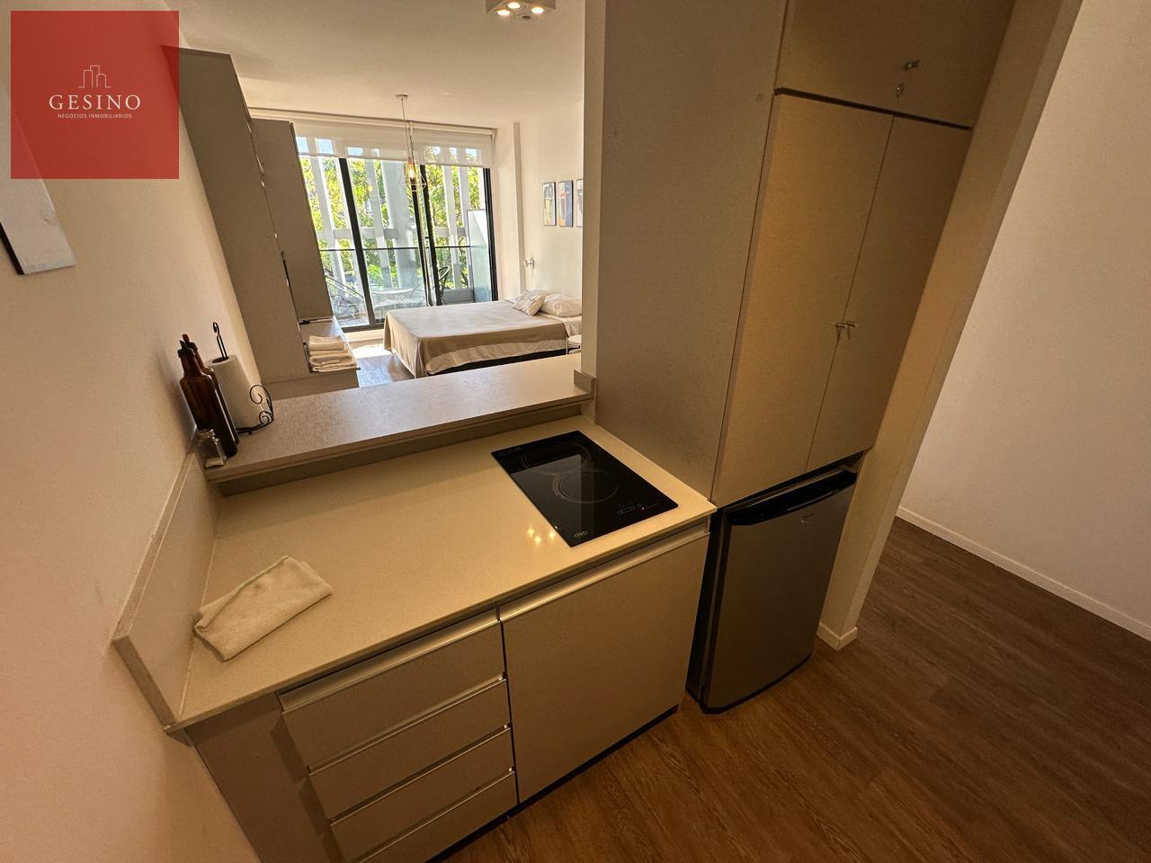 Foto de DEPARTAMENTO MONOAMBIENTE-SAN TELMO-ALQUILER TEMPORAL, imagen 5