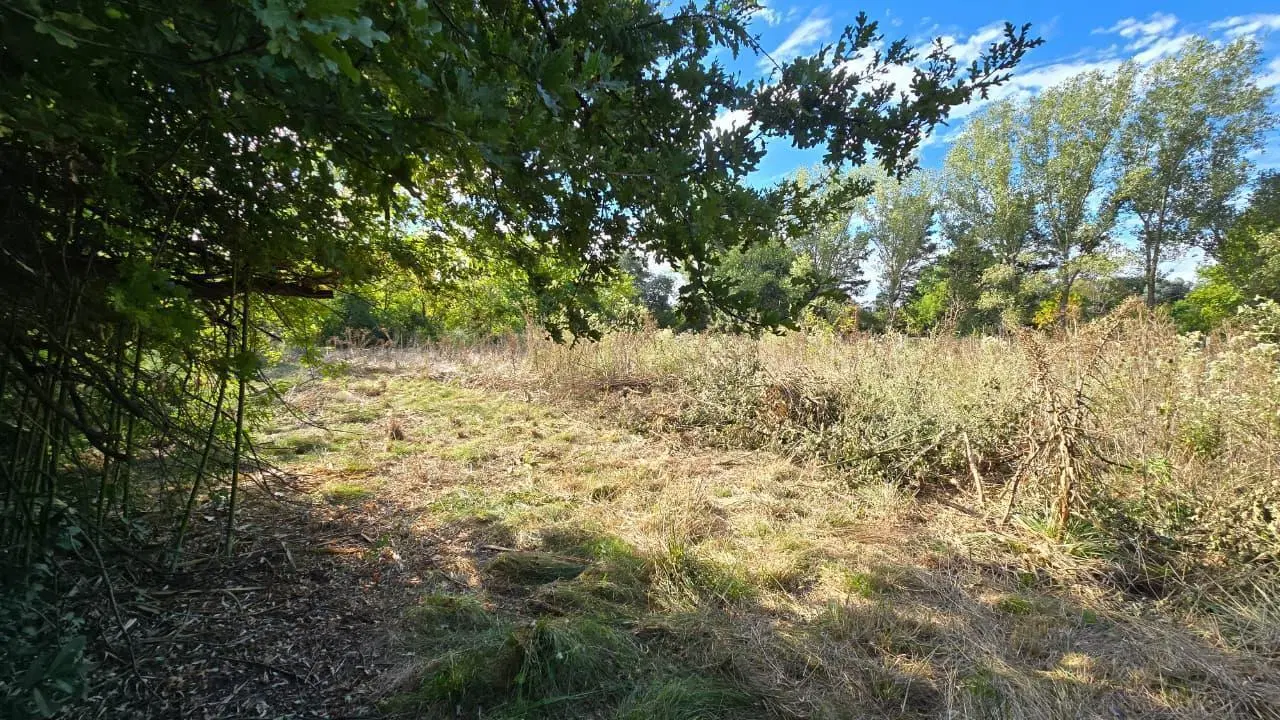 Terreno-Amplio-Venta-20 De Junio 4