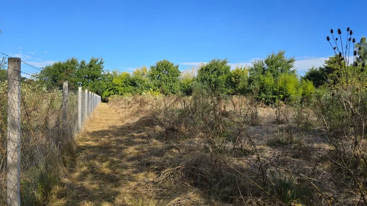 Terreno-Amplio-Venta-20 De Junio 8
