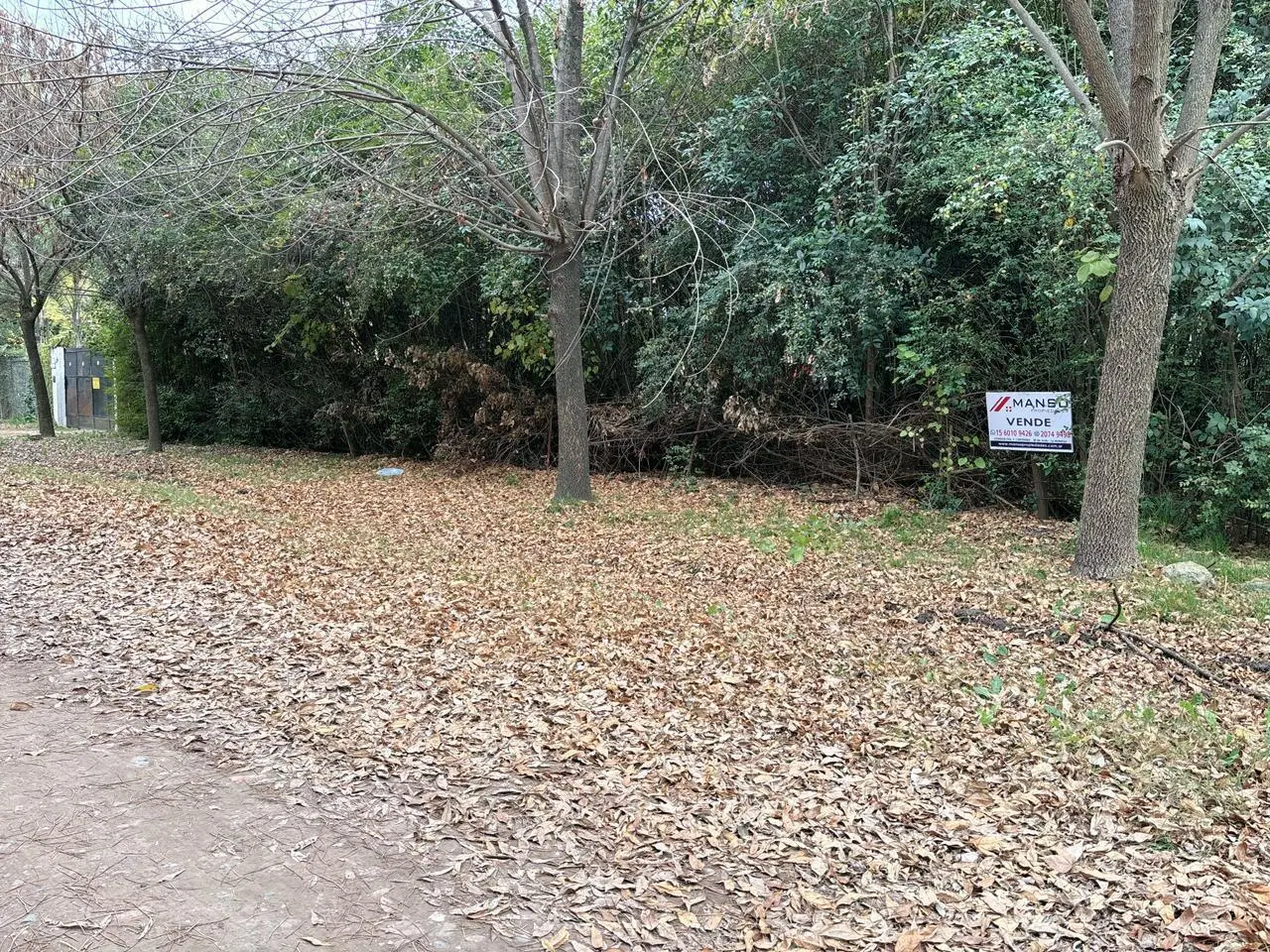 Terreno amplio en Pontevedra - VENTA - entorno tranquilo 3