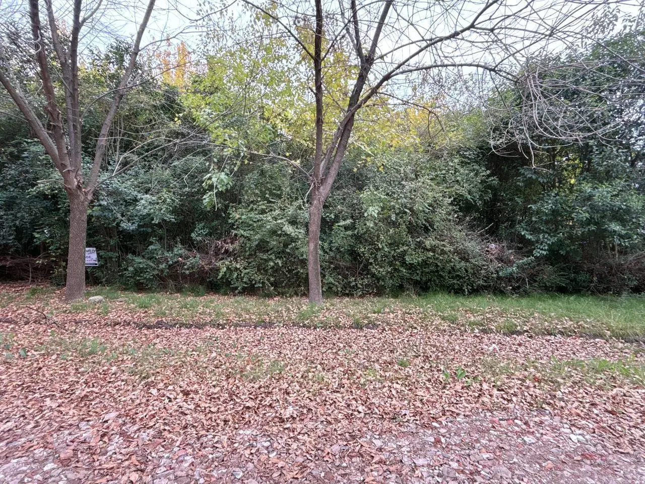 Terreno amplio en Pontevedra - VENTA - entorno tranquilo 2