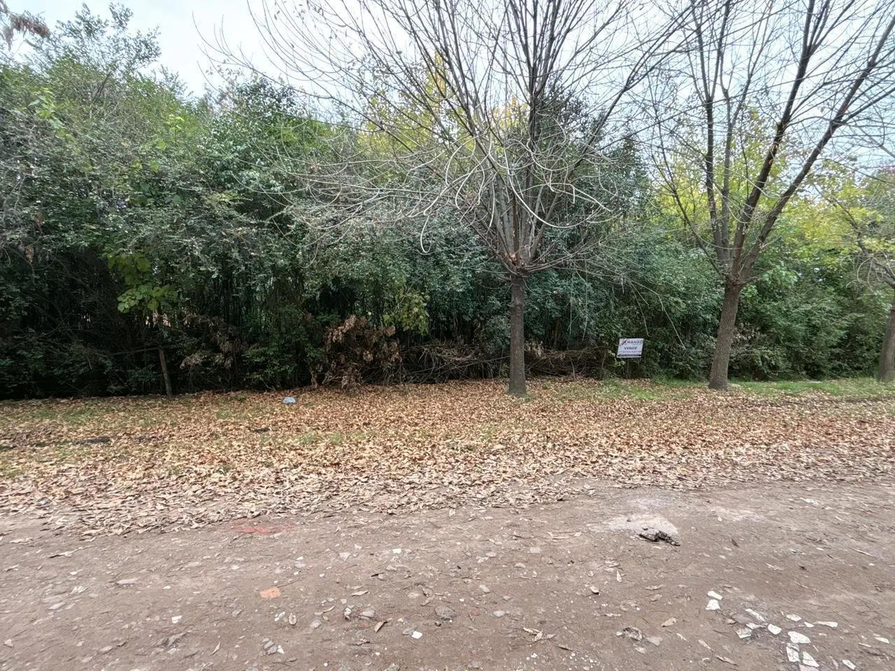 Terreno amplio en Pontevedra - VENTA - entorno tranquilo 5