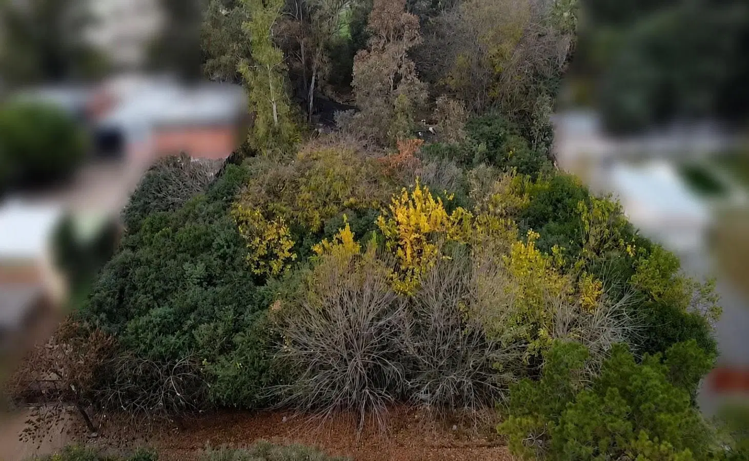 Terreno amplio en Pontevedra - VENTA - entorno tranquilo 4