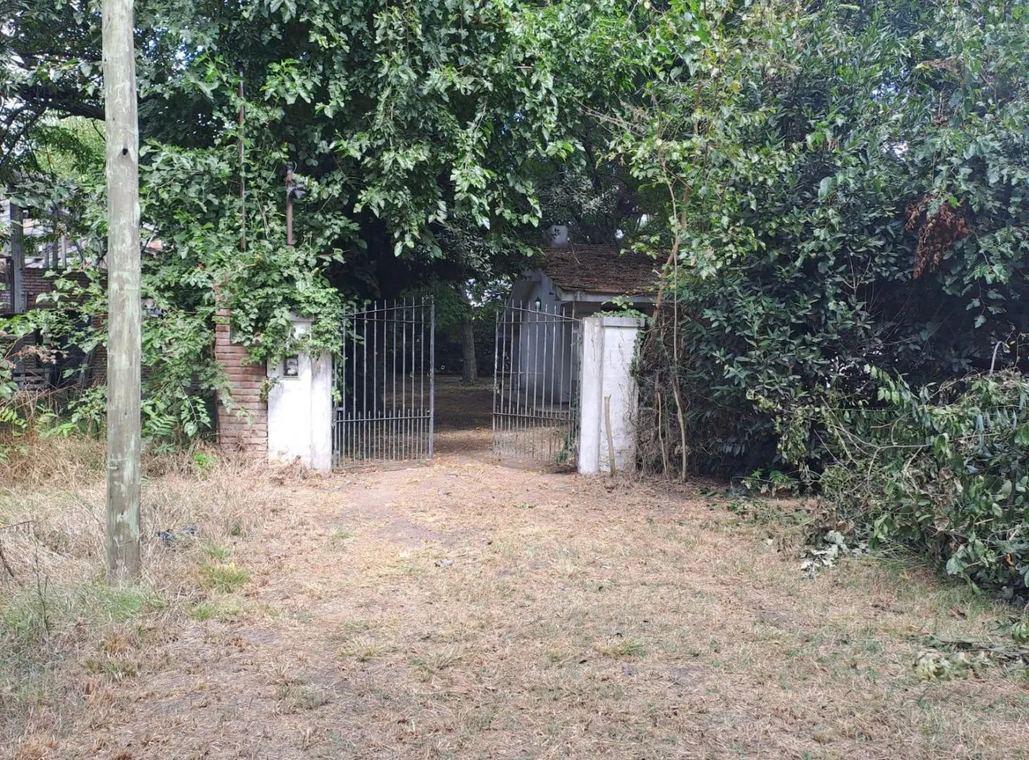 Quinta-Venta-20 de Junio-Arboles-Pileta-Asfalto-Oportunidad 3