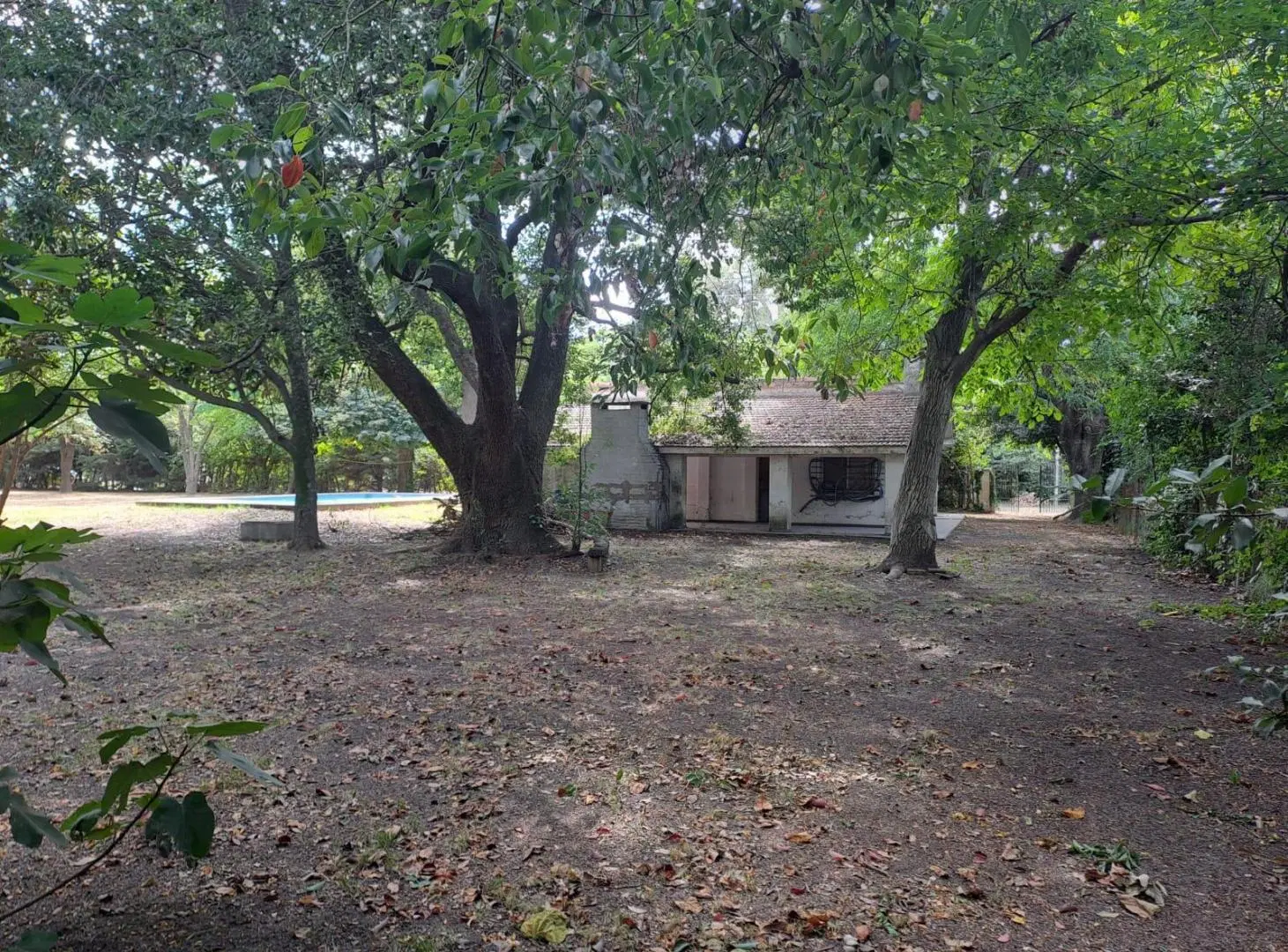 Quinta-Venta-20 de Junio-Arboles-Pileta-Asfalto-Oportunidad 5