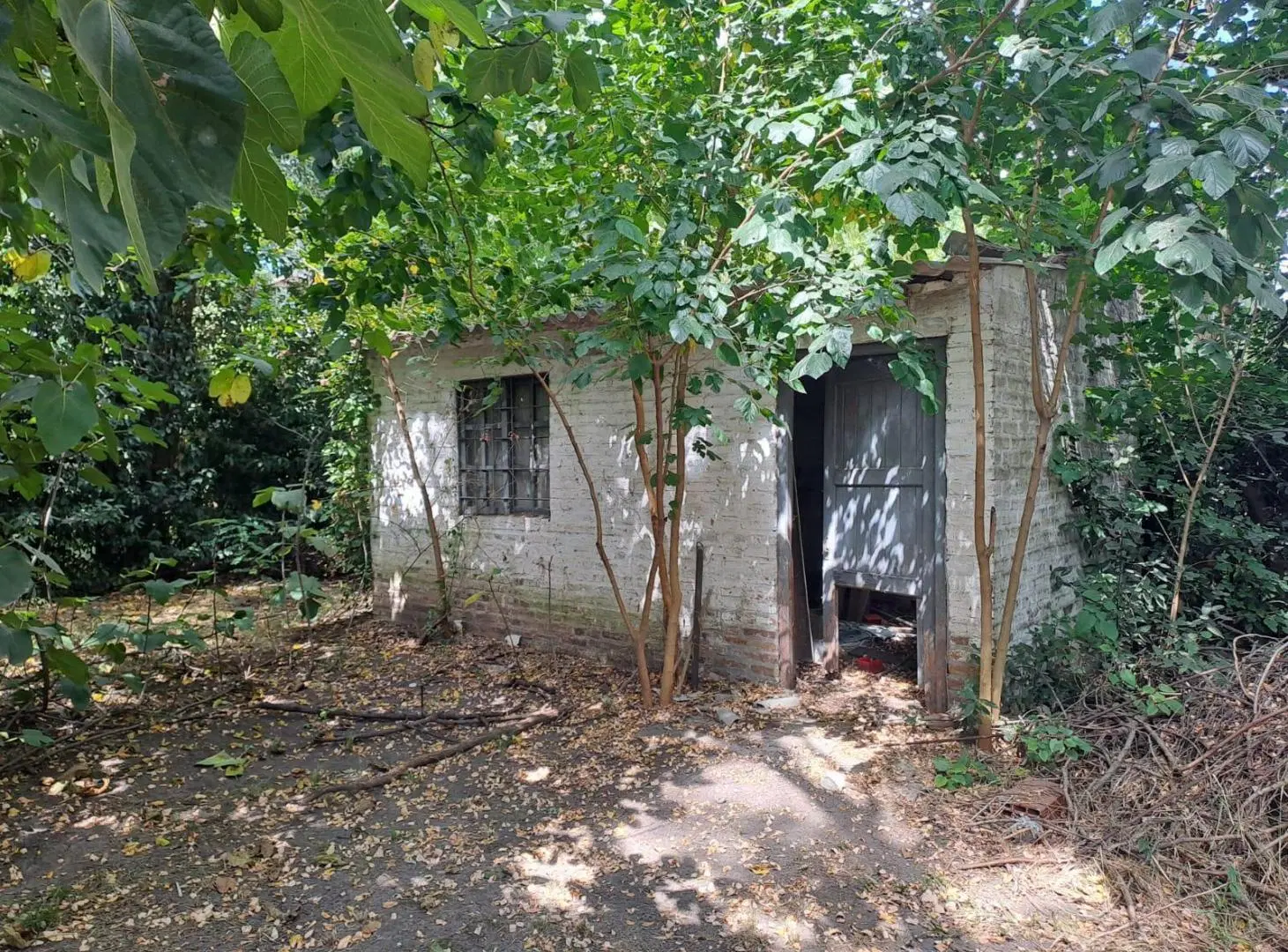 Quinta-Venta-20 de Junio-Arboles-Pileta-Asfalto-Oportunidad 2