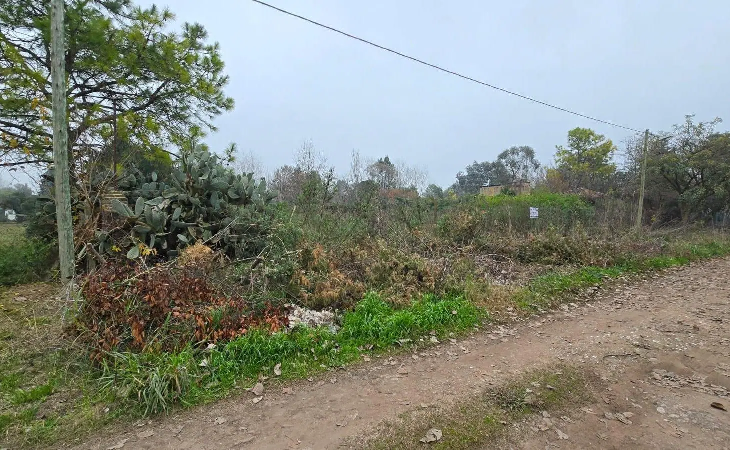 Terreno - 20 De Junio - Amplio - Venta 5