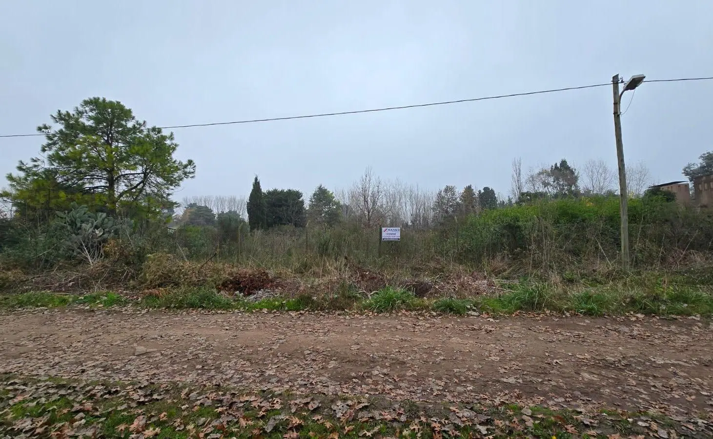 Terreno - 20 De Junio - Amplio - Venta 4