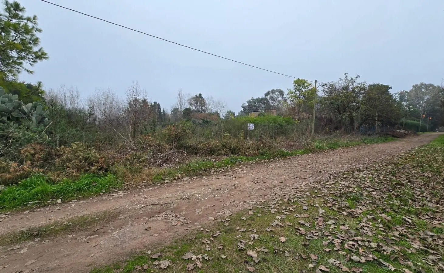 Terreno - 20 De Junio - Amplio - Venta 2