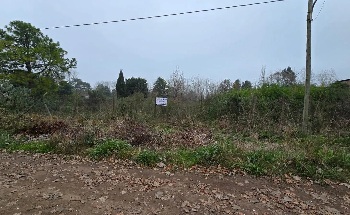 Terreno - 20 De Junio - Amplio - Venta 1
