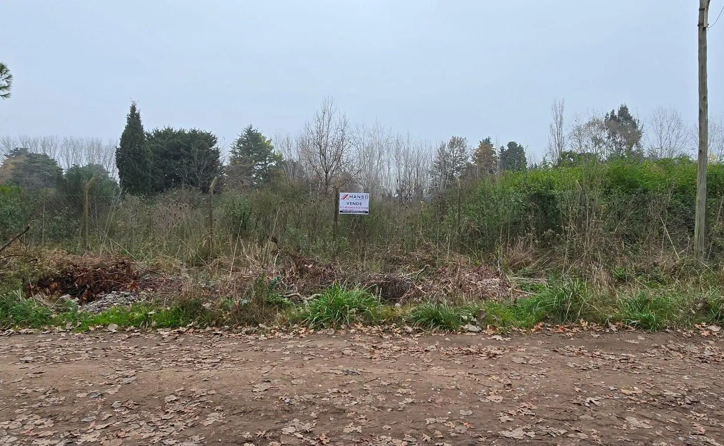 Terreno - 20 De Junio - Amplio - Venta 3