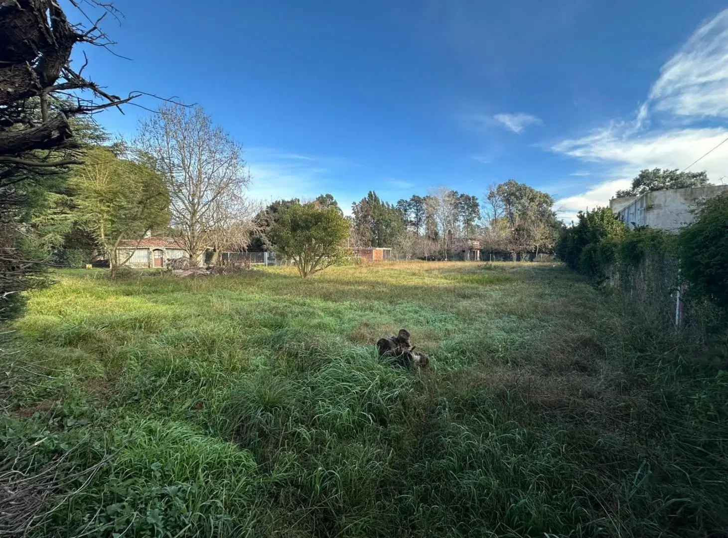 Terreno en 20 De Junio 4