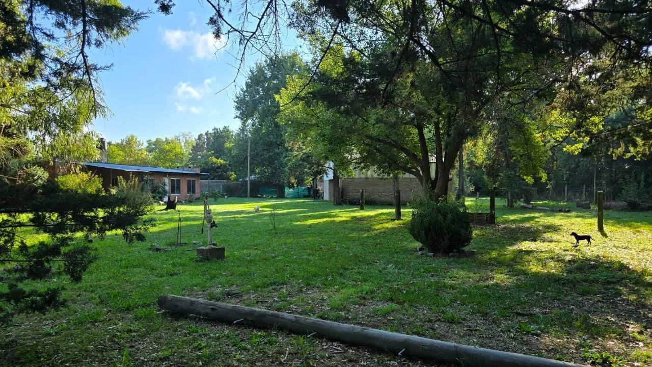 Quinta-Venta-Amplia-Galpon-Arboles-20 De Junio 2