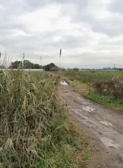Campo en Escobar 2