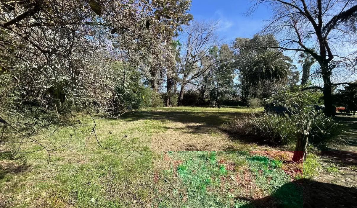 Foto de Quinta en del Viso/ 5 LOTES CON CASA A REFACCIONAR, imagen 4