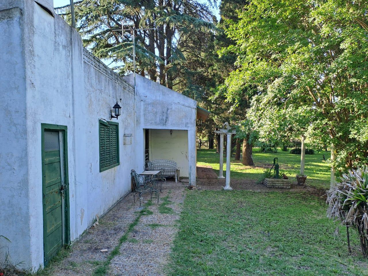 Foto de Quinta-Venta-20 de Junio-Refaccionar-Arboles, imagen 4