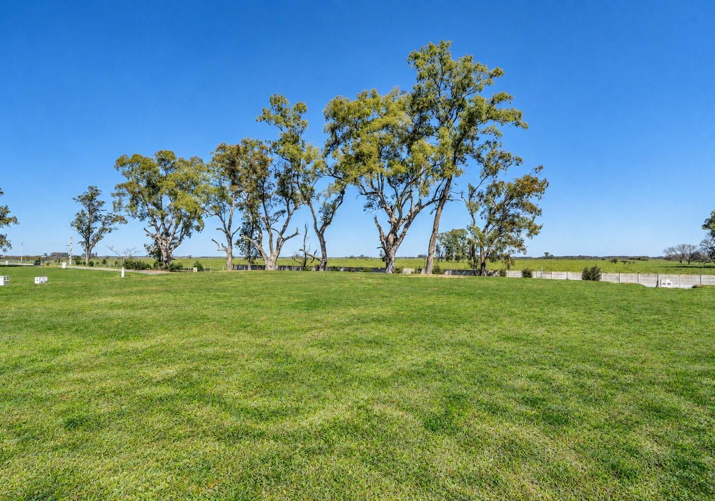 Foto de LOTE EN VENTA - SANTA CLARA AL SUR - SAN VICENTE, imagen 3