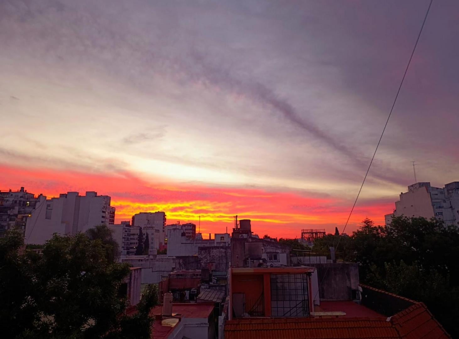 Foto de Depto 3 amb muy luminoso flores/floresta, imagen 4