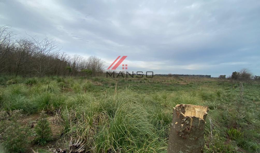 Foto de 21 Ha. Campo en Marcos Paz cercano a 20 de Junio, imagen 5