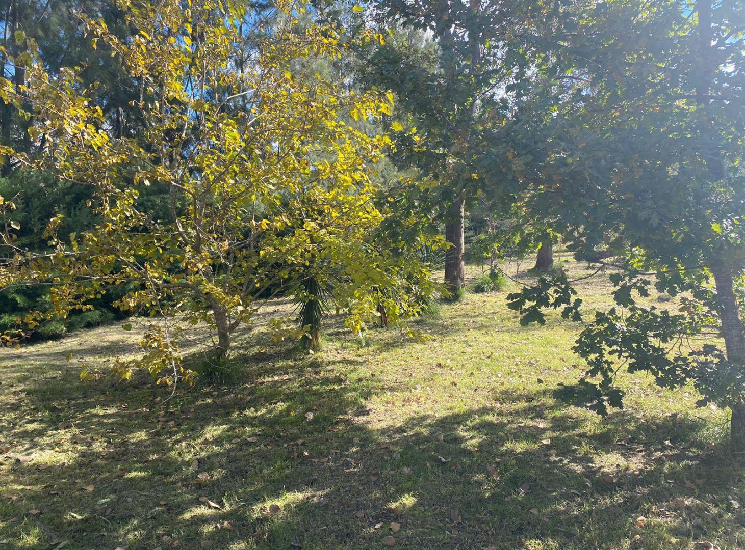 Foto de Terreno en Ceretti ante esquina Gibson, imagen 1