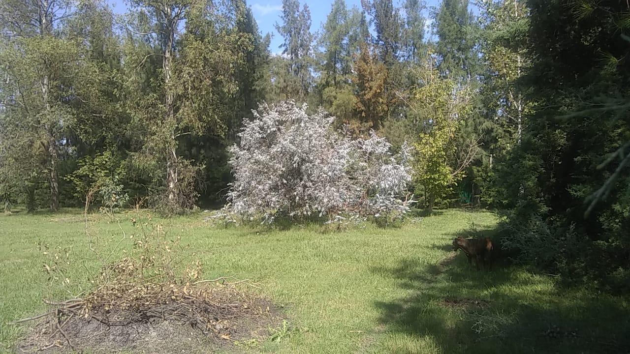 Foto de Terreno en Ceretti ante esquina Gibson, imagen 4