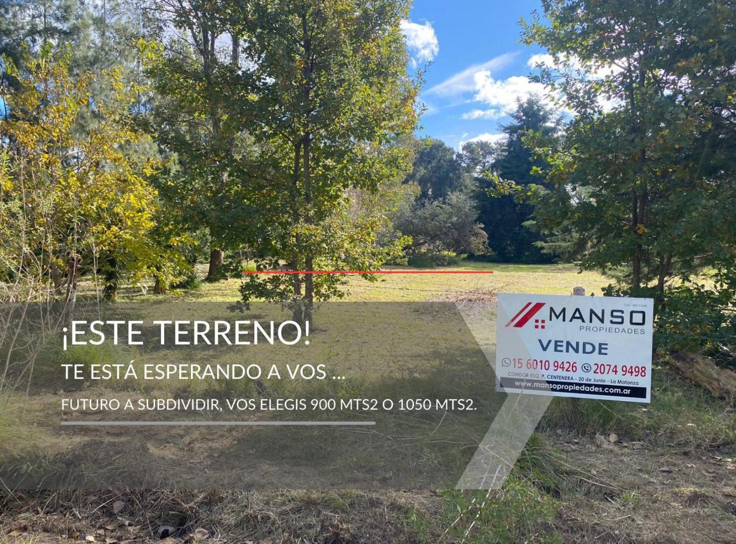 Foto de Terreno en Ceretti ante esquina Gibson, imagen 5