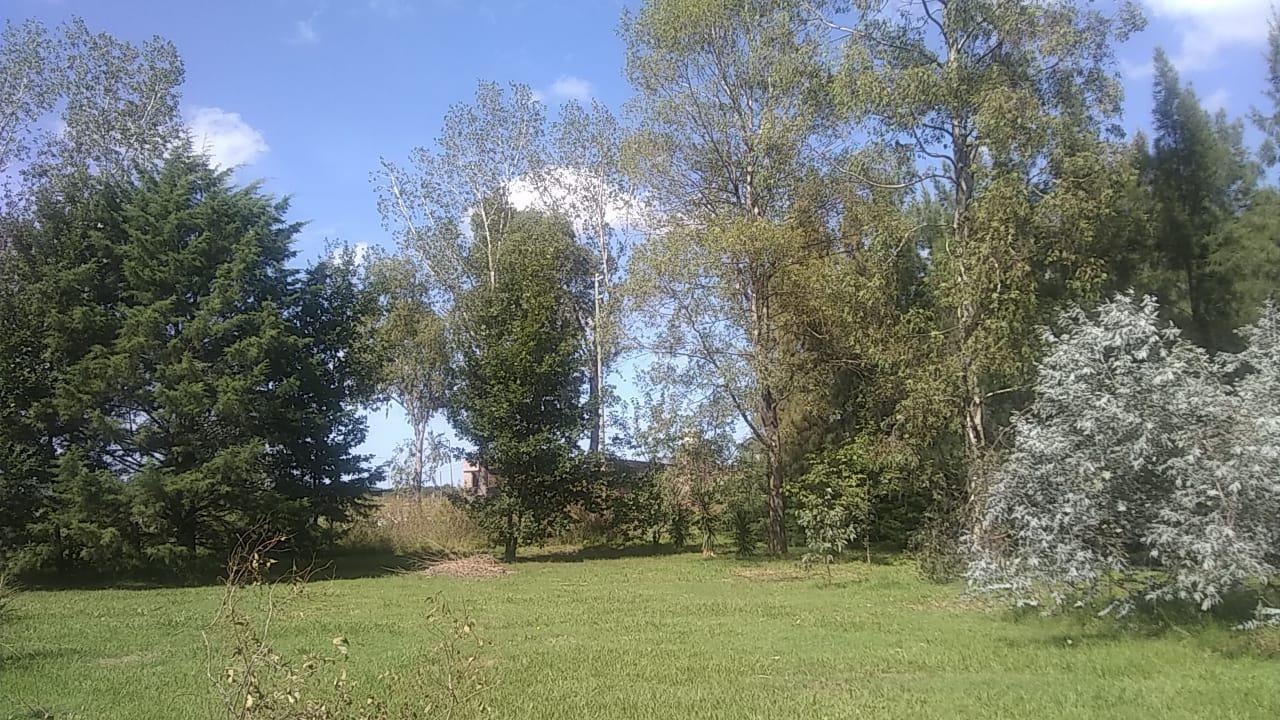 Foto de Terreno en Ceretti ante esquina Gibson, imagen 3