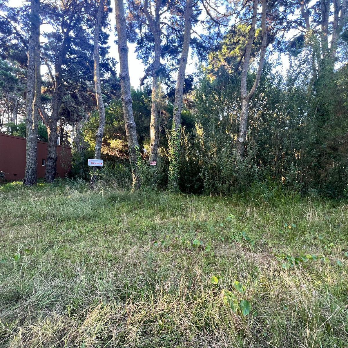 Terreno en Costa del Este - Lote Arbolado - Escucha Ofertas 3