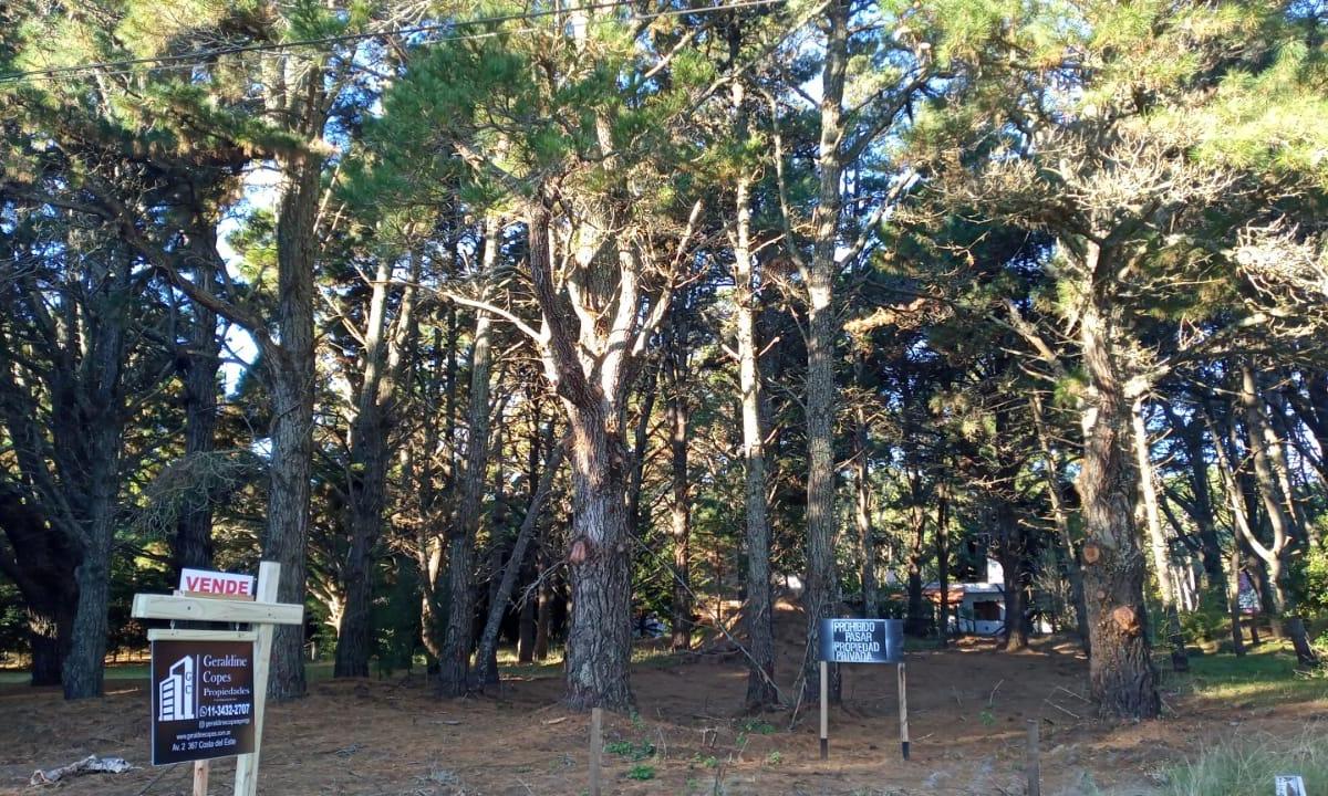 Lote en Costa del Este 4