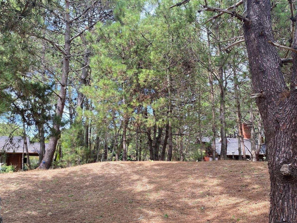 Hermosa Casa en Costa del Este Mas Lote Lindero (Opcional) 3