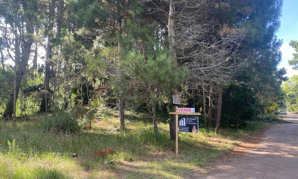 ¡Oportunidad Única! Lotes en Costa del Este en Venta 3