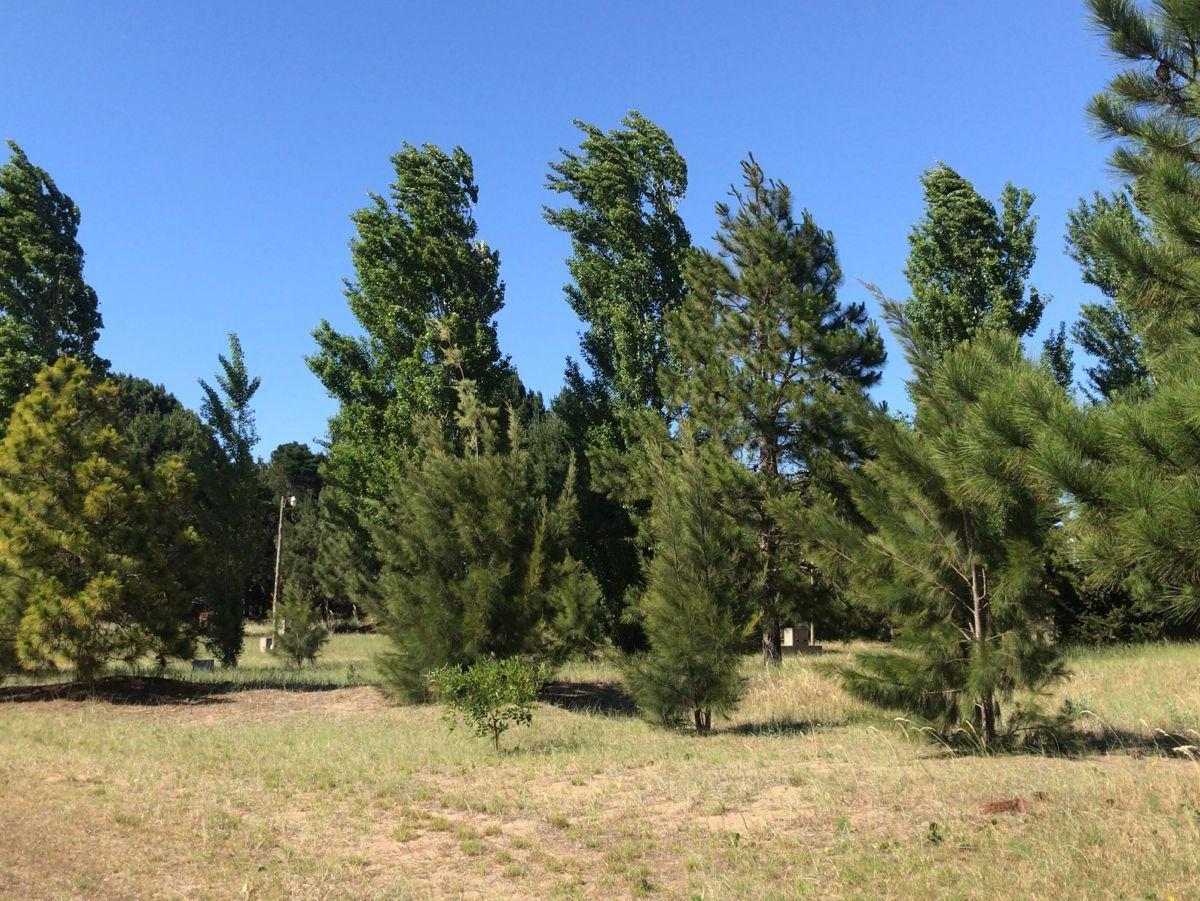 ¡Oportunidad Única! Lotes en Costa del Este en Venta 5