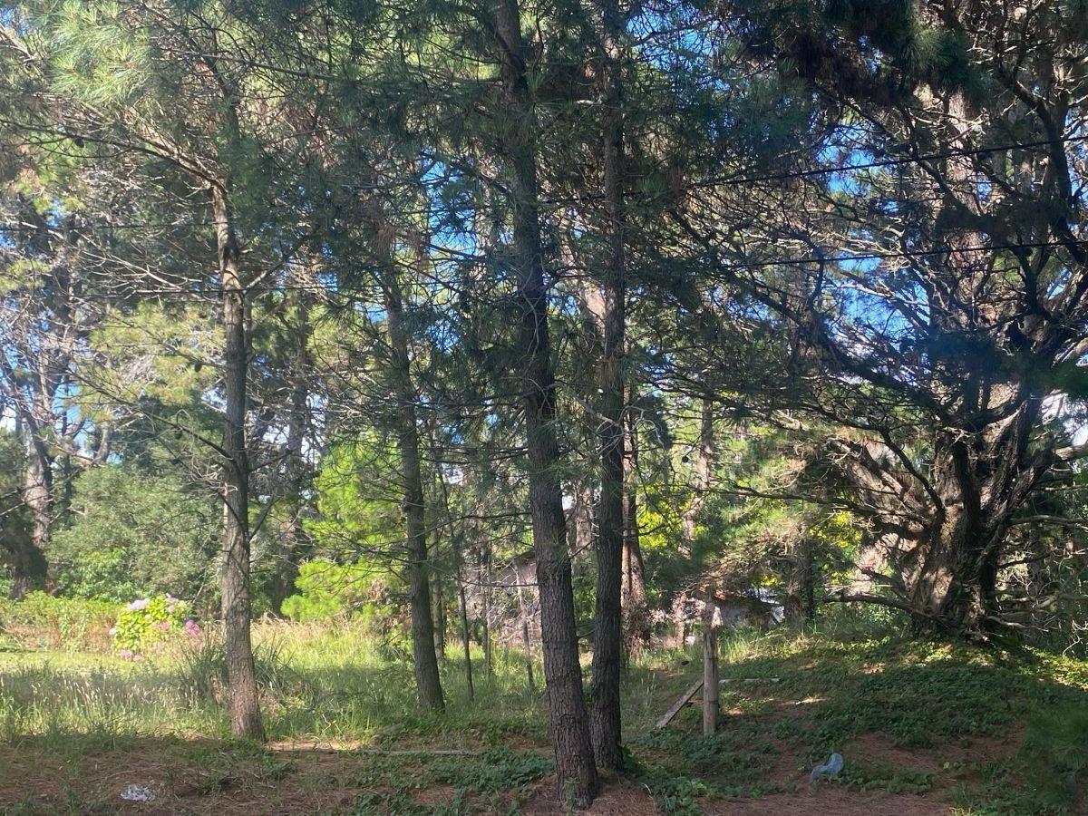 ¡Oportunidad Única! Lotes en Costa del Este en Venta 3