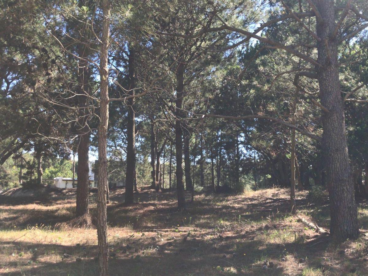 ¡Oportunidad Única! Lotes en Costa del Este en Venta 5
