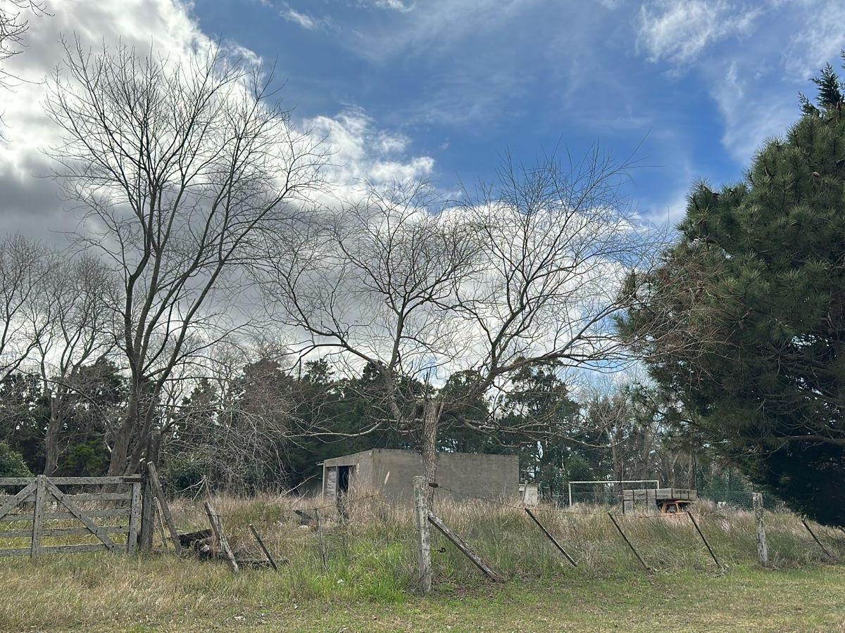 Lote Ruta 11 Toninas 5500m2