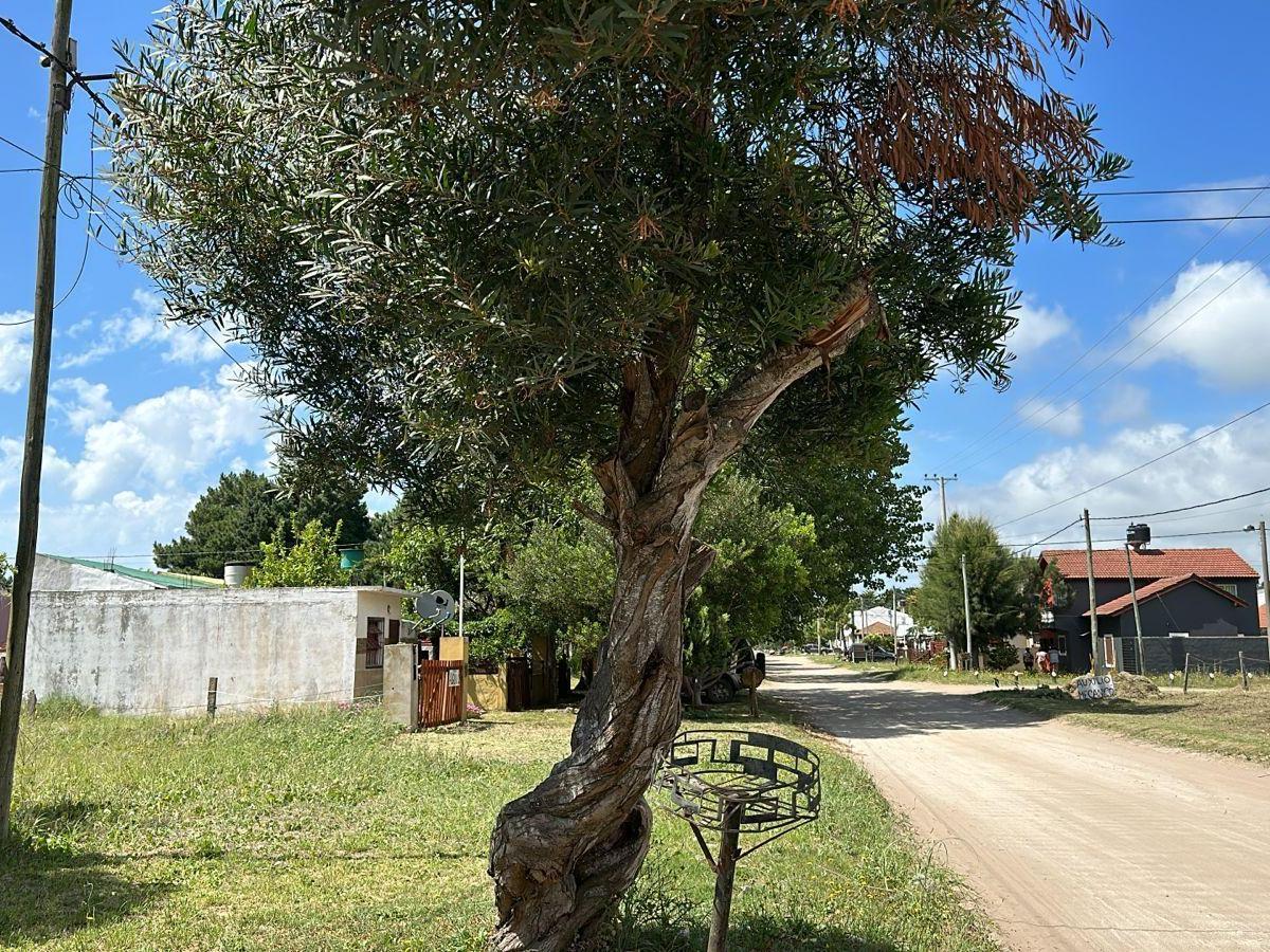 Propiedad en Argentina