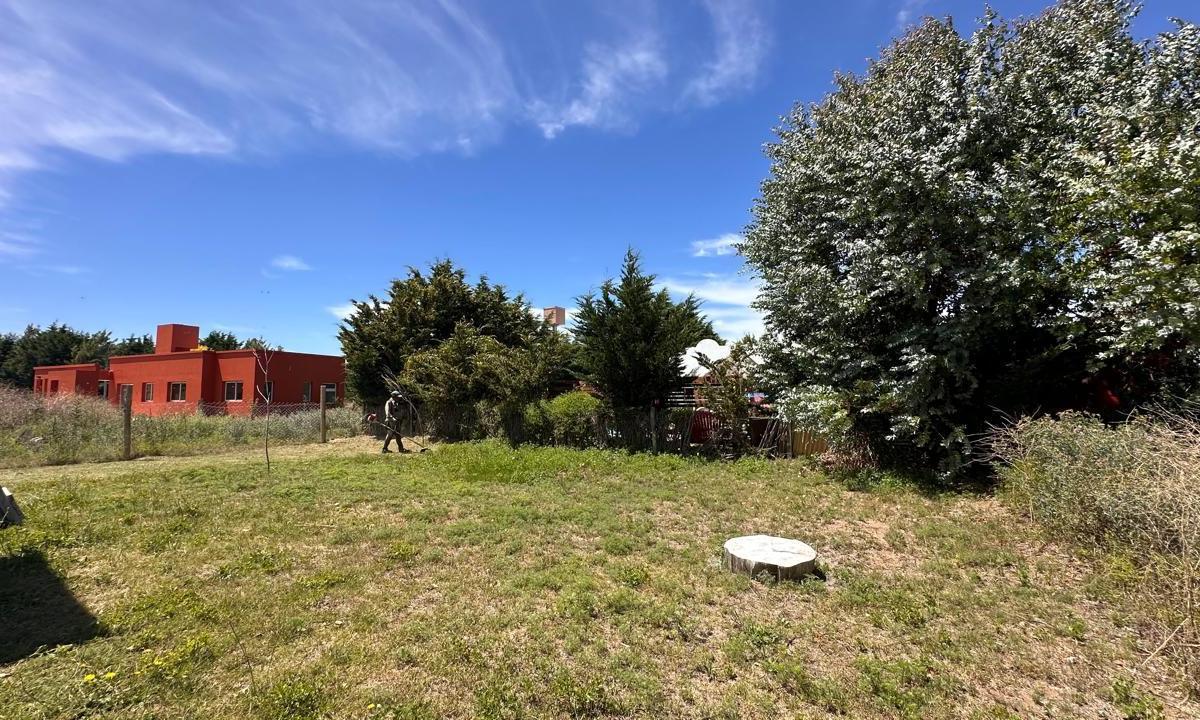 Los Pinos 1026 4