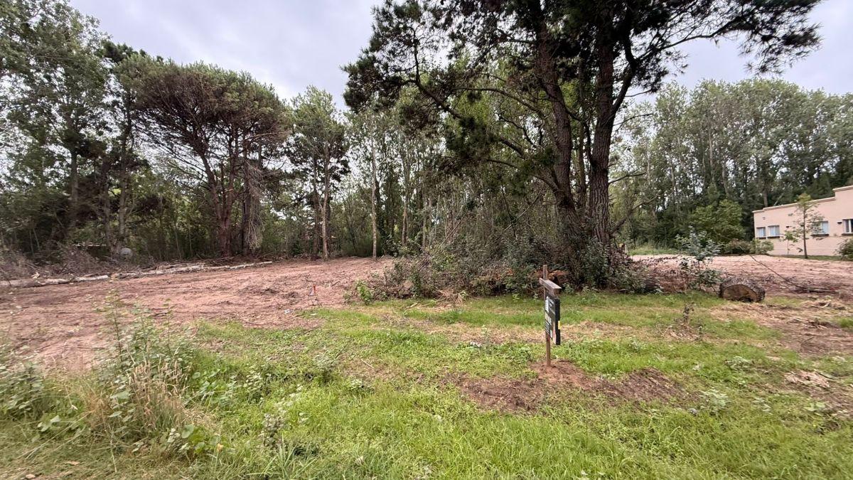 Foto de Amplio lote en Los Girasoles, Costa Del Este, imagen 1
