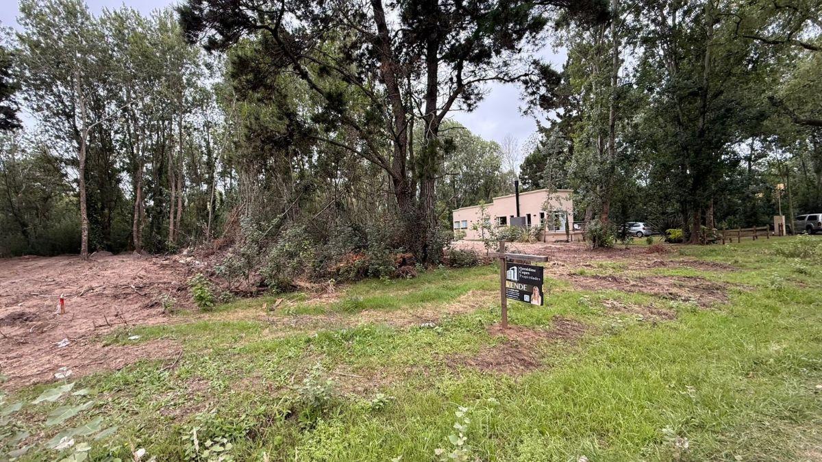 Foto de Amplio lote en Los Girasoles, Costa Del Este, imagen 4