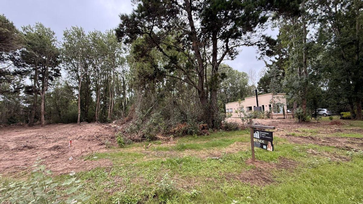 Foto de Amplio lote en Los Girasoles, Costa Del Este, imagen 5