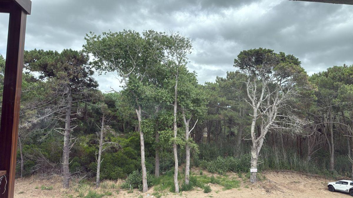 Lote La Reserva Almarena