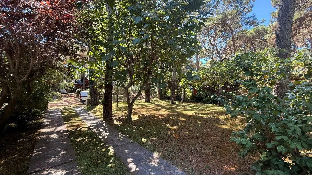 casa en venta en las Margaritas 372 con excelente ubicación 2