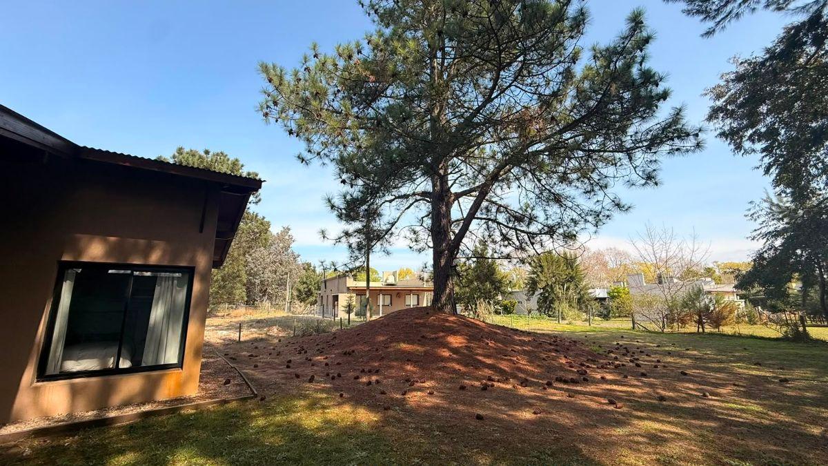 Foto de Hermosa Propiedad En Venta En Costa Del Este, imagen 5