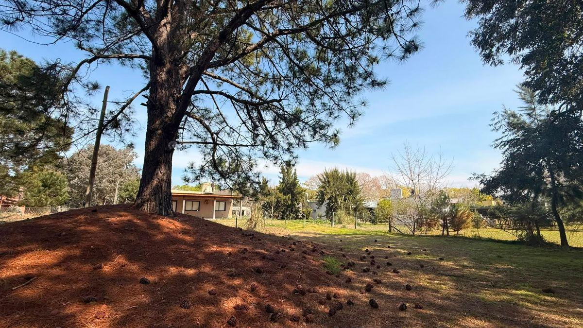 Foto de Hermosa Propiedad En Venta En Costa Del Este, imagen 2