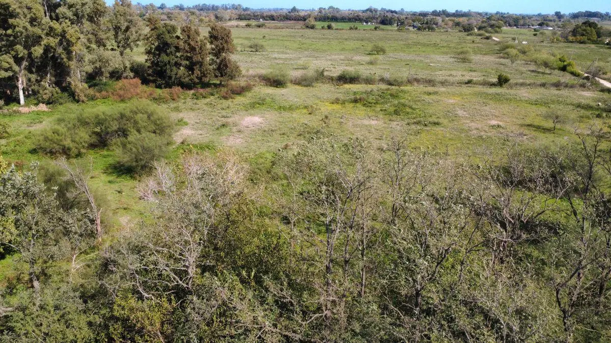 Venta en Bloque de 2 Lotes en Escobar – 5 Hectáreas 2